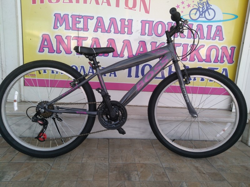 24″ Boss eco